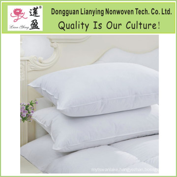 100% Cotton Standard Pillow